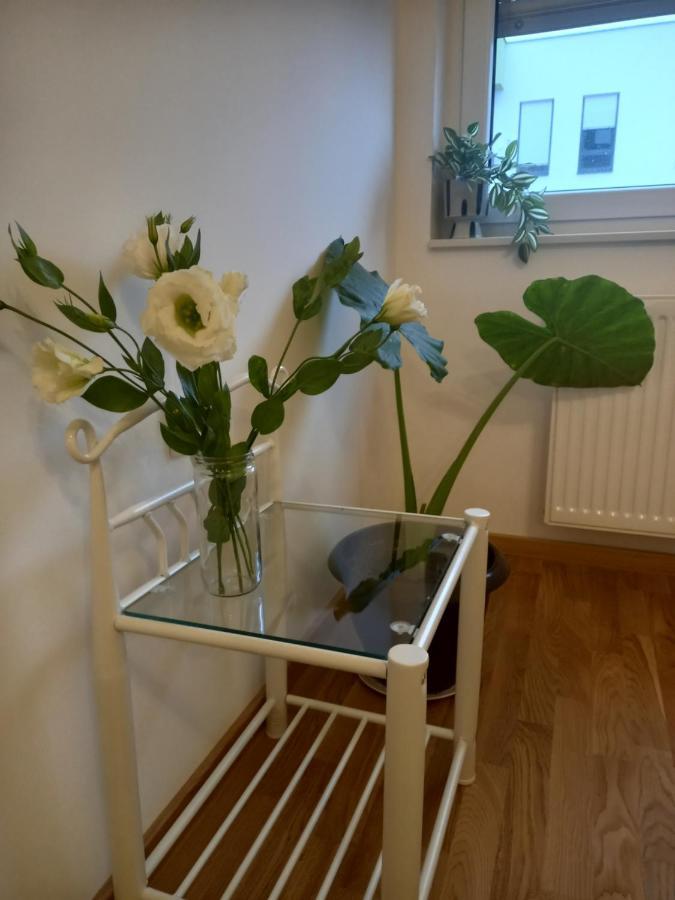 Ferienwohnung Avenija Oaza Novi Sad Exterior foto